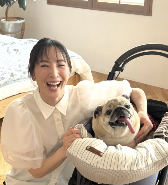 【雑誌】しあわせシニア犬生活　7/31発売　yumi